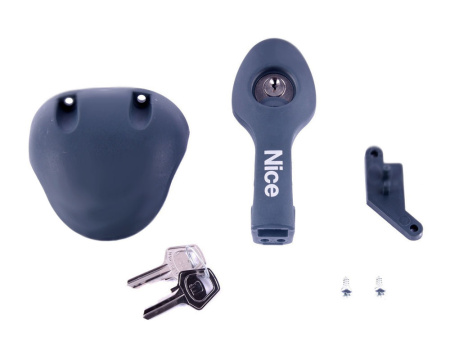 PRWNG01 Разблокировка NICE